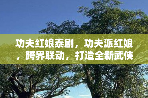 功夫红娘泰剧,功夫派红娘,跨界联动,打造全新武侠情缘 功夫红娘泰剧,功夫派红娘,跨界联动,打造全新武侠情缘