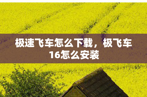 极速飞车怎么下载,极飞车16怎么安装 极速飞车怎么下载,极飞车16怎么安装