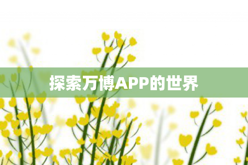 探索万博APP的世界 探索万博APP的世界