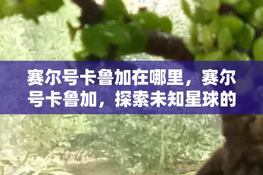 赛尔号卡鲁加在哪里,赛尔号卡鲁加,探索未知星球的奇幻之旅 赛尔号卡鲁加在哪里,赛尔号卡鲁加,探索未知星球的奇幻之旅