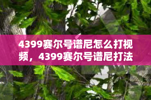 4399赛尔号谱尼怎么打视频，4399赛尔号谱尼打法详解