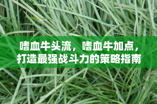 嗜血牛头流,嗜血牛加点,打造最强战斗力的策略指南 嗜血牛头流,嗜血牛加点,打造最强战斗力的策略指南