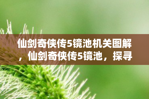 仙剑奇侠传5镜池机关图解,仙剑奇侠传5镜池,探寻经典游戏的幕后故事 仙剑奇侠传5镜池机关图解,仙剑奇侠传5镜池,探寻经典游戏的幕后故事