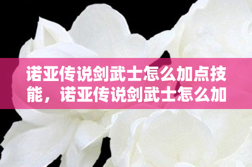 诺亚传说剑武士怎么加点技能，诺亚传说剑武士怎么加点