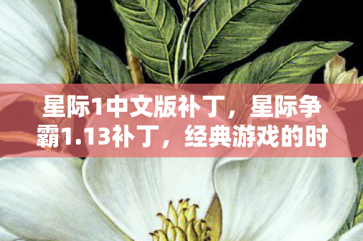 星际1中文版补丁,星际争霸1.13补丁,经典游戏的时光机 星际1中文版补丁,星际争霸1.13补丁,经典游戏的时光机