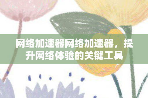 网络加速器网络加速器，提升网络体验的关键工具