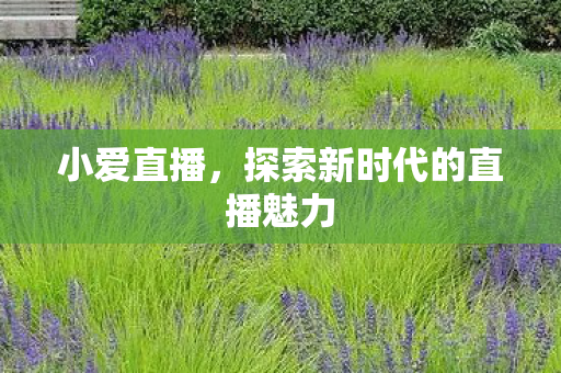 小爱直播,探索新时代的直播魅力 小爱直播,探索新时代的直播魅力