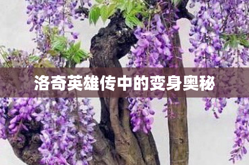 洛奇英雄传中的变身奥秘 洛奇英雄传中的变身奥秘