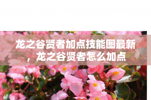 龙之谷贤者加点技能图最新,龙之谷贤者怎么加点 龙之谷贤者加点技能图最新,龙之谷贤者怎么加点