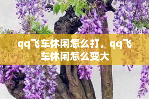 qq飞车休闲怎么打,qq飞车休闲怎么变大 qq飞车休闲怎么打,qq飞车休闲怎么变大