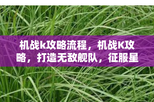 机战k攻略流程,机战K攻略,打造无敌舰队,征服星际战场 机战k攻略流程,机战K攻略,打造无敌舰队,征服星际战场