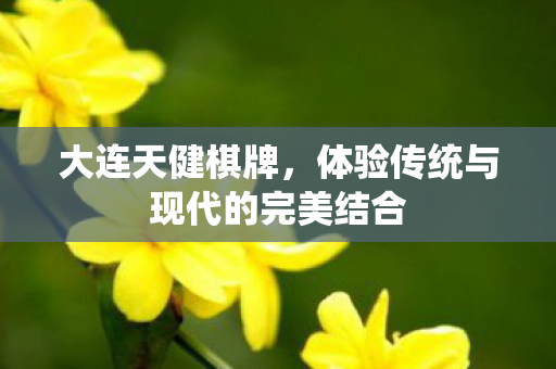 大连天健棋牌,体验传统与现代的完美结合 大连天健棋牌,体验传统与现代的完美结合