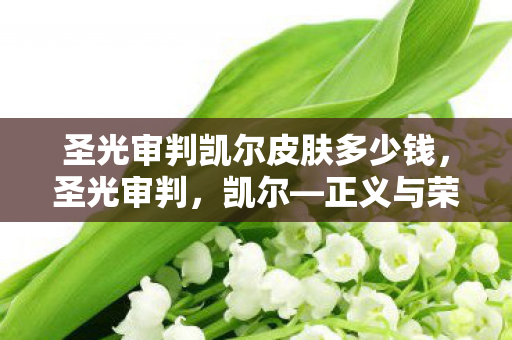 圣光审判凯尔皮肤多少钱，圣光审判，凯尔—正义与荣耀的化身