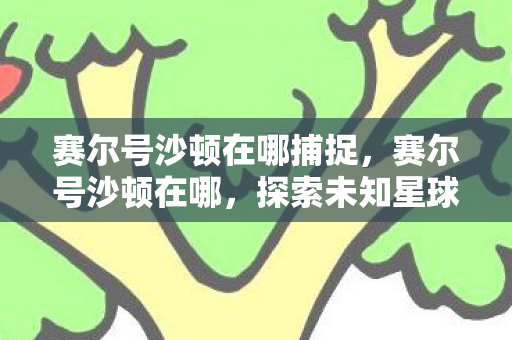 赛尔号沙顿在哪捕捉,赛尔号沙顿在哪,探索未知星球的奇妙之旅 赛尔号沙顿在哪捕捉,赛尔号沙顿在哪,探索未知星球的奇妙之旅