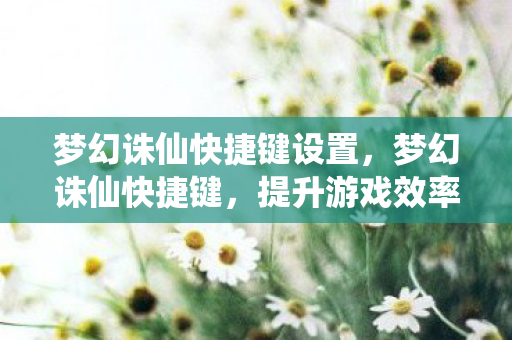 梦幻诛仙快捷键设置，梦幻诛仙快捷键，提升游戏效率的关键