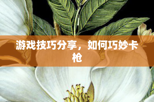 游戏技巧分享,如何巧妙卡枪 游戏技巧分享,如何巧妙卡枪