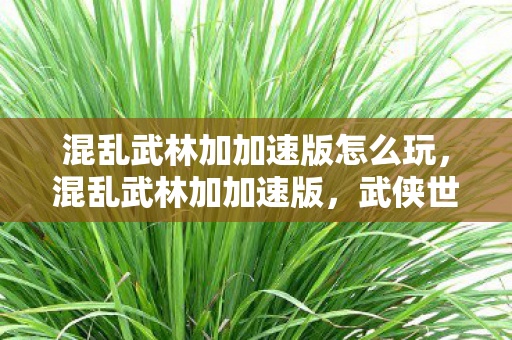 混乱武林加加速版怎么玩，混乱武林加加速版，武侠世界的极速冒险