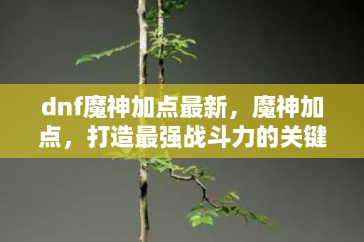 dnf魔神加点最新,魔神加点,打造最强战斗力的关键 dnf魔神加点最新,魔神加点,打造最强战斗力的关键