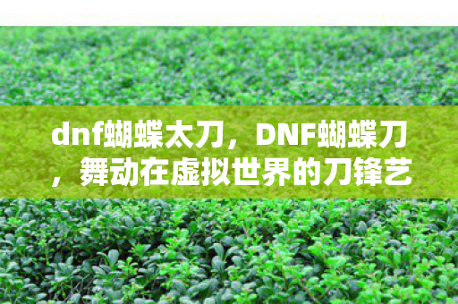 dnf蝴蝶太刀,DNF蝴蝶刀,舞动在虚拟世界的刀锋艺术 dnf蝴蝶太刀,DNF蝴蝶刀,舞动在虚拟世界的刀锋艺术