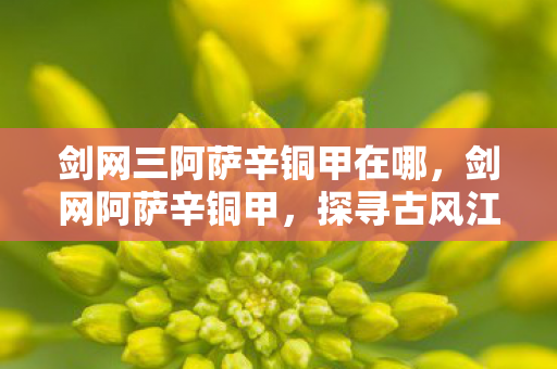 剑网三阿萨辛铜甲在哪,剑网阿萨辛铜甲,探寻古风江湖的终极装备 剑网三阿萨辛铜甲在哪,剑网阿萨辛铜甲,探寻古风江湖的终极装备