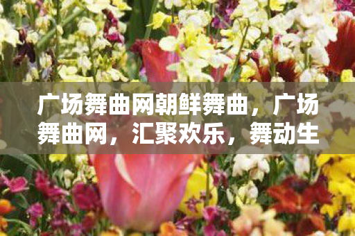 广场舞曲网朝鲜舞曲,广场舞曲网,汇聚欢乐,舞动生活的音乐平台 广场舞曲网朝鲜舞曲,广场舞曲网,汇聚欢乐,舞动生活的音乐平台
