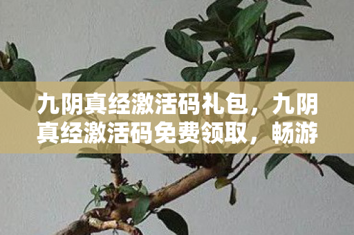 九阴真经激活码礼包,九阴真经激活码免费领取,畅游武侠世界的钥匙 九阴真经激活码礼包,九阴真经激活码免费领取,畅游武侠世界的钥匙
