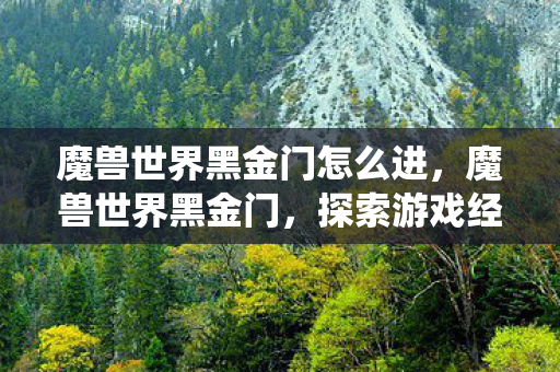 魔兽世界黑金门怎么进,魔兽世界黑金门,探索游戏经济系统的奥秘 魔兽世界黑金门怎么进,魔兽世界黑金门,探索游戏经济系统的奥秘