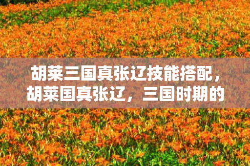 胡莱三国真张辽技能搭配,胡莱国真张辽,三国时期的勇猛战将 胡莱三国真张辽技能搭配,胡莱国真张辽,三国时期的勇猛战将