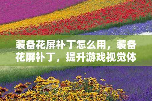装备花屏补丁怎么用,装备花屏补丁,提升游戏视觉体验的新利器 装备花屏补丁怎么用,装备花屏补丁,提升游戏视觉体验的新利器