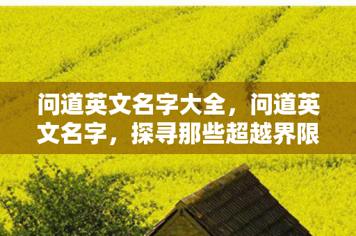 问道英文名字大全,问道英文名字,探寻那些超越界限的奇妙命名 问道英文名字大全,问道英文名字,探寻那些超越界限的奇妙命名