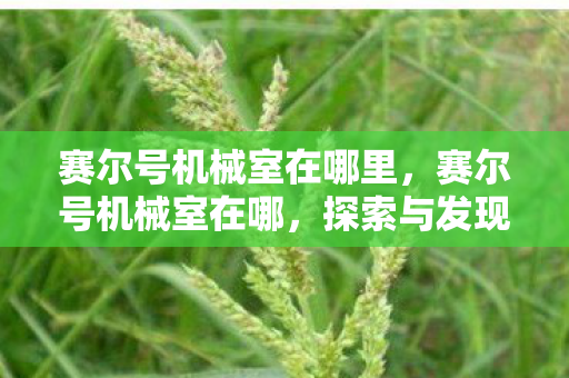 赛尔号机械室在哪里,赛尔号机械室在哪,探索与发现之旅 赛尔号机械室在哪里,赛尔号机械室在哪,探索与发现之旅