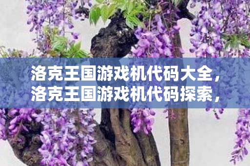 洛克王国游戏机代码大全，洛克王国游戏机代码探索，解锁游戏世界的密钥