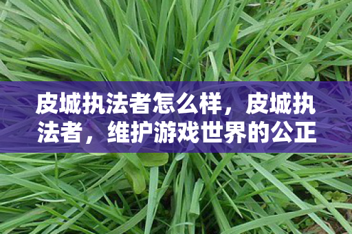 皮城执法者怎么样,皮城执法者,维护游戏世界的公正与秩序 皮城执法者怎么样,皮城执法者,维护游戏世界的公正与秩序