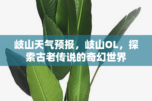 岐山天气预报，岐山OL，探索古老传说的奇幻世界