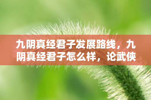 九阴真经君子发展路线，九阴真经君子怎么样，论武侠精神与君子风范