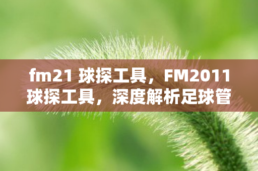 fm21 球探工具，FM2011球探工具，深度解析足球管理模拟的得力助手