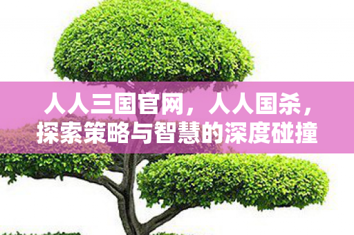人人三国官网,人人国杀,探索策略与智慧的深度碰撞 人人三国官网,人人国杀,探索策略与智慧的深度碰撞