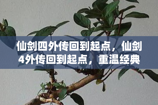 仙剑四外传回到起点,仙剑4外传回到起点,重温经典,再续前缘 仙剑四外传回到起点,仙剑4外传回到起点,重温经典,再续前缘