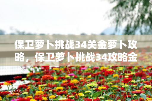 保卫萝卜挑战34关金萝卜攻略，保卫萝卜挑战34攻略金萝卜布阵图