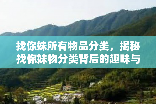 找你妹所有物品分类,揭秘找你妹物分类背后的趣味与智慧 找你妹所有物品分类,揭秘找你妹物分类背后的趣味与智慧