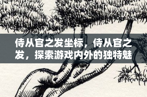 侍从官之发坐标,侍从官之发,探索游戏内外的独特魅力 侍从官之发坐标,侍从官之发,探索游戏内外的独特魅力