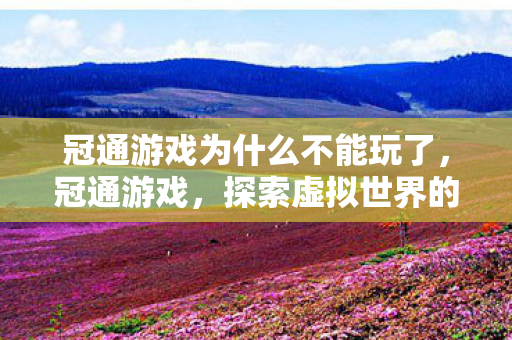冠通游戏为什么不能玩了,冠通游戏,探索虚拟世界的无限可能 冠通游戏为什么不能玩了,冠通游戏,探索虚拟世界的无限可能