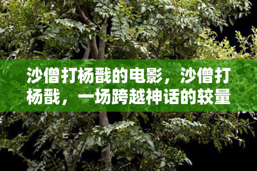 沙僧打杨戬的电影,沙僧打杨戬,一场跨越神话的较量 沙僧打杨戬的电影,沙僧打杨戬,一场跨越神话的较量