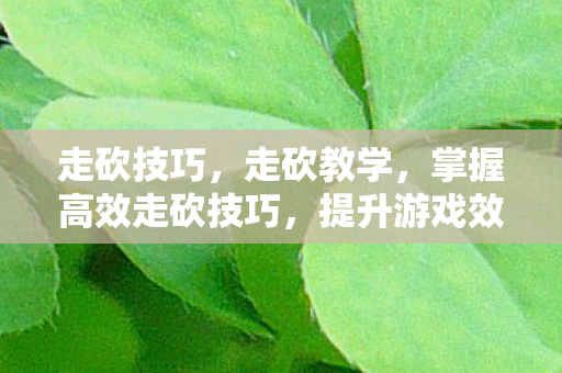 走砍技巧,走砍教学,掌握高效走砍技巧,提升游戏效率与体验 走砍技巧,走砍教学,掌握高效走砍技巧,提升游戏效率与体验