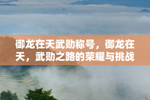 御龙在天武勋称号,御龙在天,武勋之路的荣耀与挑战 御龙在天武勋称号,御龙在天,武勋之路的荣耀与挑战