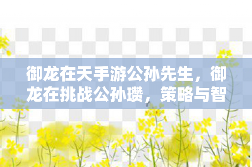 御龙在天手游公孙先生,御龙在挑战公孙瓒,策略与智慧的碰撞 御龙在天手游公孙先生,御龙在挑战公孙瓒,策略与智慧的碰撞