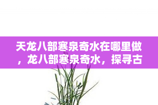 天龙八部寒泉奇水在哪里做,龙八部寒泉奇水,探寻古老传说中的神秘水源 天龙八部寒泉奇水在哪里做,龙八部寒泉奇水,探寻古老传说中的神秘水源