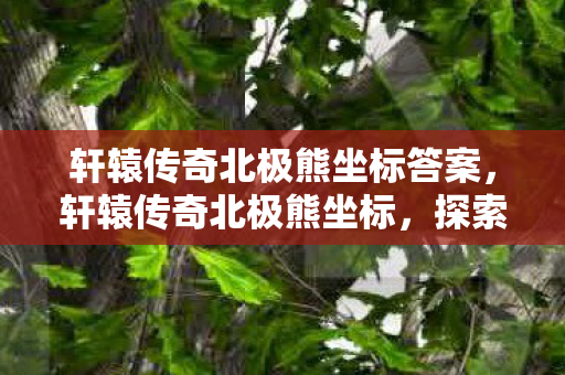 轩辕传奇北极熊坐标答案，轩辕传奇北极熊坐标，探索未知世界的神秘之旅