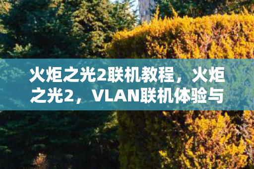 火炬之光2联机教程,火炬之光2,VLAN联机体验与攻略 火炬之光2联机教程,火炬之光2,VLAN联机体验与攻略