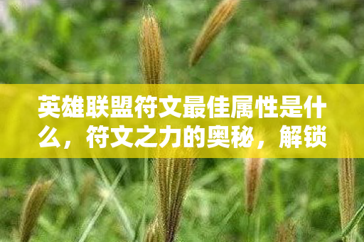 英雄联盟符文最佳属性是什么，符文之力的奥秘，解锁英雄联盟最佳符文搭配